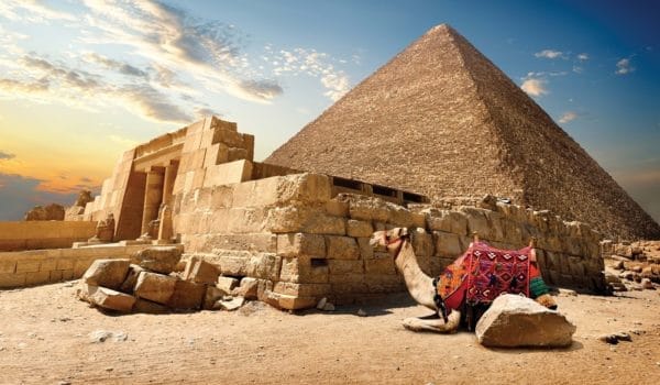 10 Best Safaris Trips In Cairo