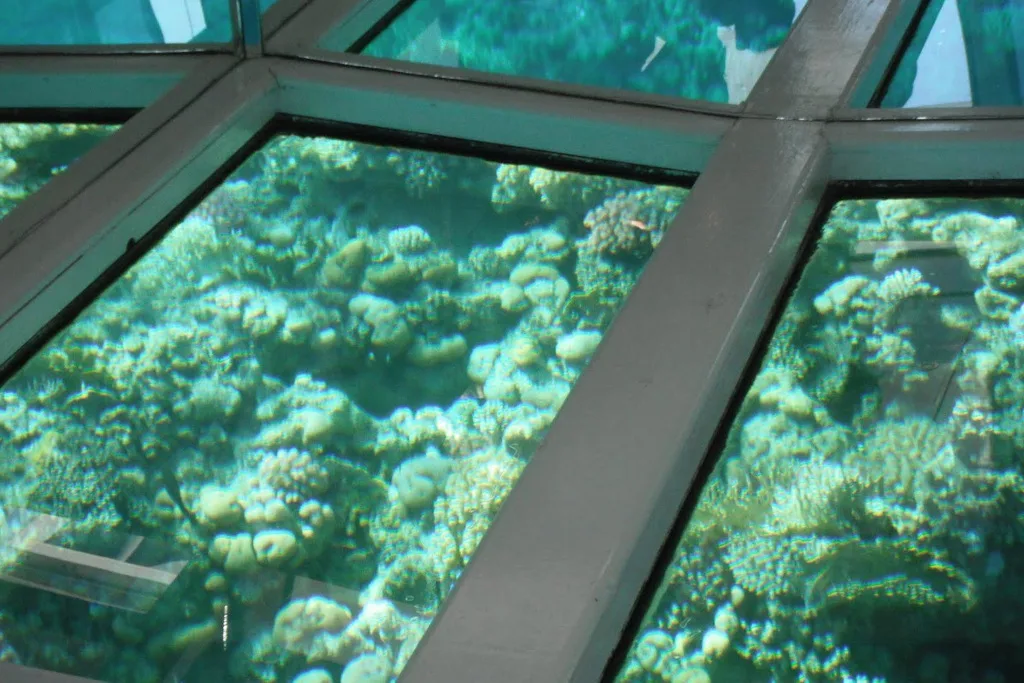 Glasbodenboot – Bild 3