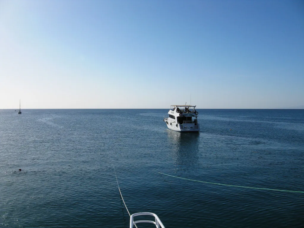 Day Trip to the White Island & Ras Mohammed - Image 3