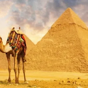 CAIRO ONE DAY BY PLANE