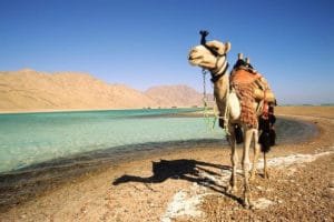 seaside adventures Egypt