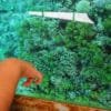 Лодка со стеклянным дном — изображение 2