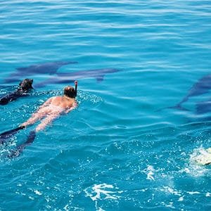 Hurghada Tours