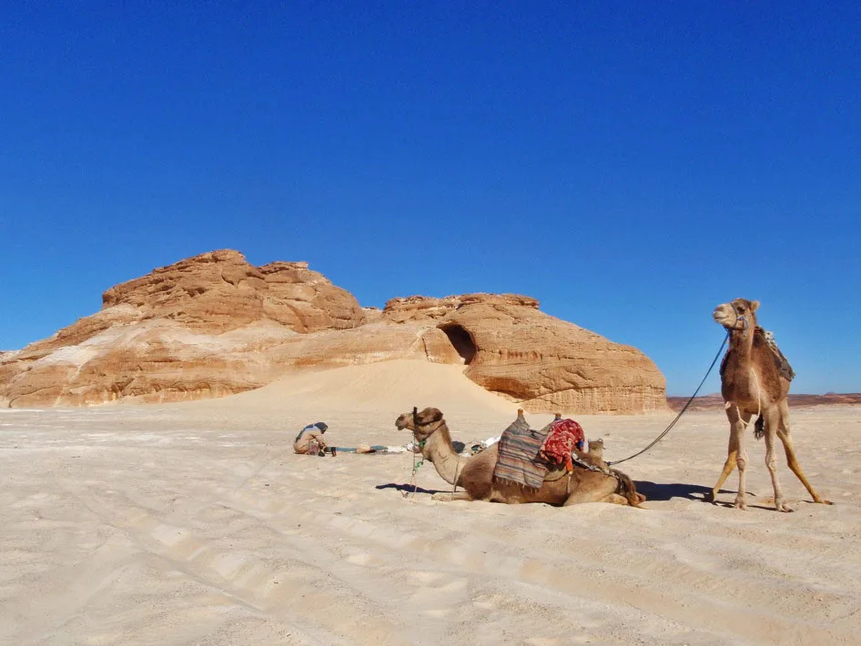 Safari Chameau,  7 jours & 6 nuits – Image 3