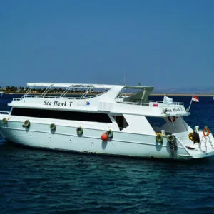 ONE DAY SNORKELING BY BOAT