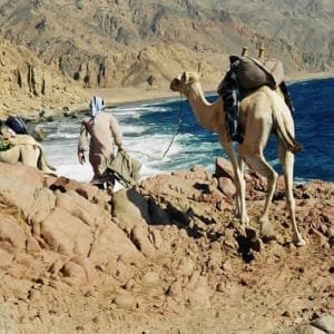 BLUE HOLE AND RAS ABU GALUM AND CAMEL SAFARI