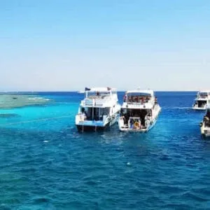 Diving Day Trip In Tiran Island By Boat
