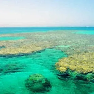 TIRAN ISLAND BY BOAT
