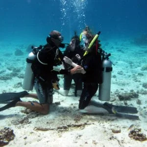 ADVANCED OPEN WATER