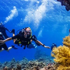OPEN WATER DIVER