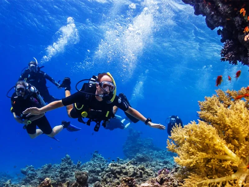 OPEN WATER REFERRAL