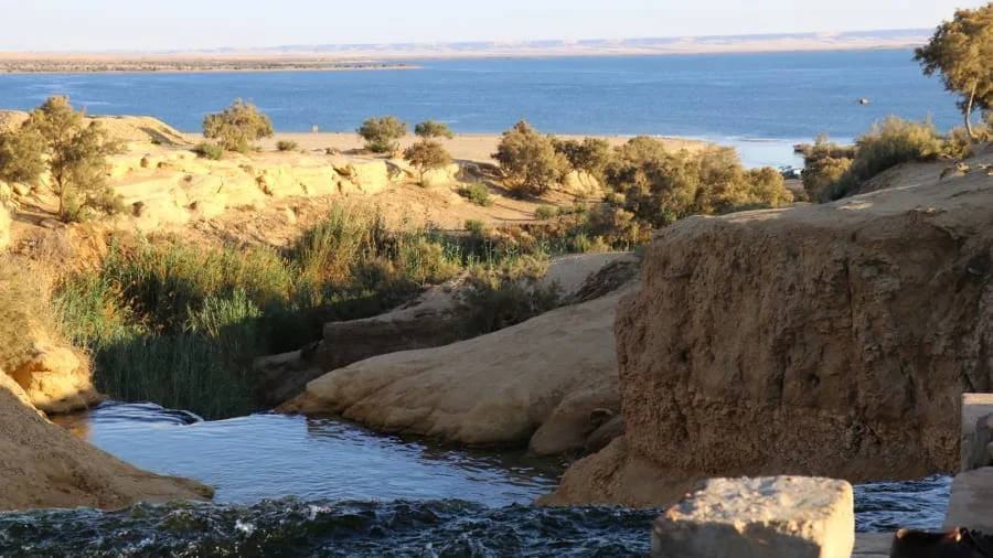 TAGESTOUR ZUR FAYOUM OASE  AUS KAIRO – Bild 3
