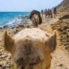 РАС АБУ ГАЛУМ 2 ДНЯ 1 НОЧЬ — изображение 3