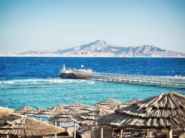 The 10 best safari trips in Sharm El Sheikh