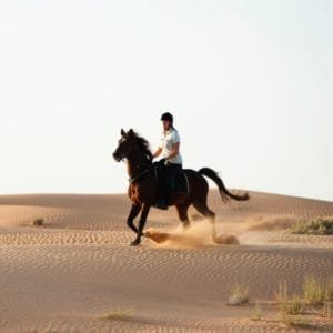 Horse Riding In Sharm el Sheikh Desert