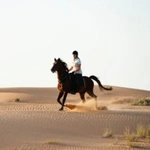 Horse Riding In Sharm el Sheikh Desert