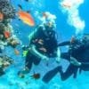 Однодневный дайвинг-тур на остров Тиран на лодке — изображение 3