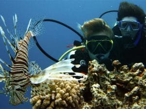Best Dahab Snorkeling Tours from Sharm | Top Day Trips 1 Best Dahab snorkeling tours from Sharm