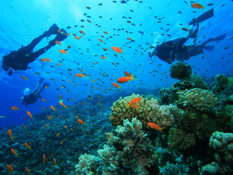 Best Dahab snorkeling tours from Sharm