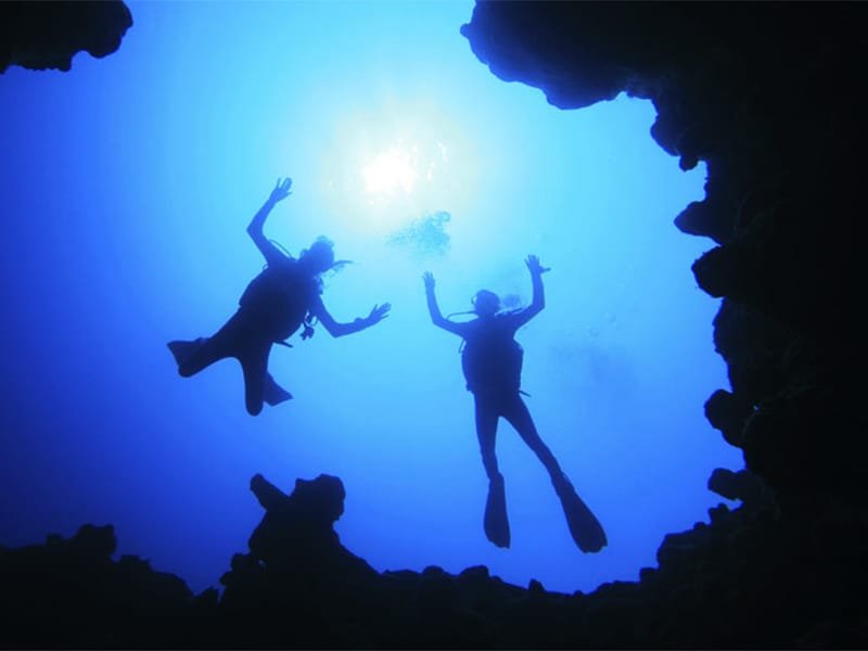 diving and safari in Dahab