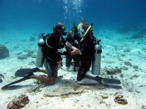 diving and safari in Dahab