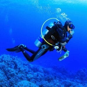 diving and safari in Dahab