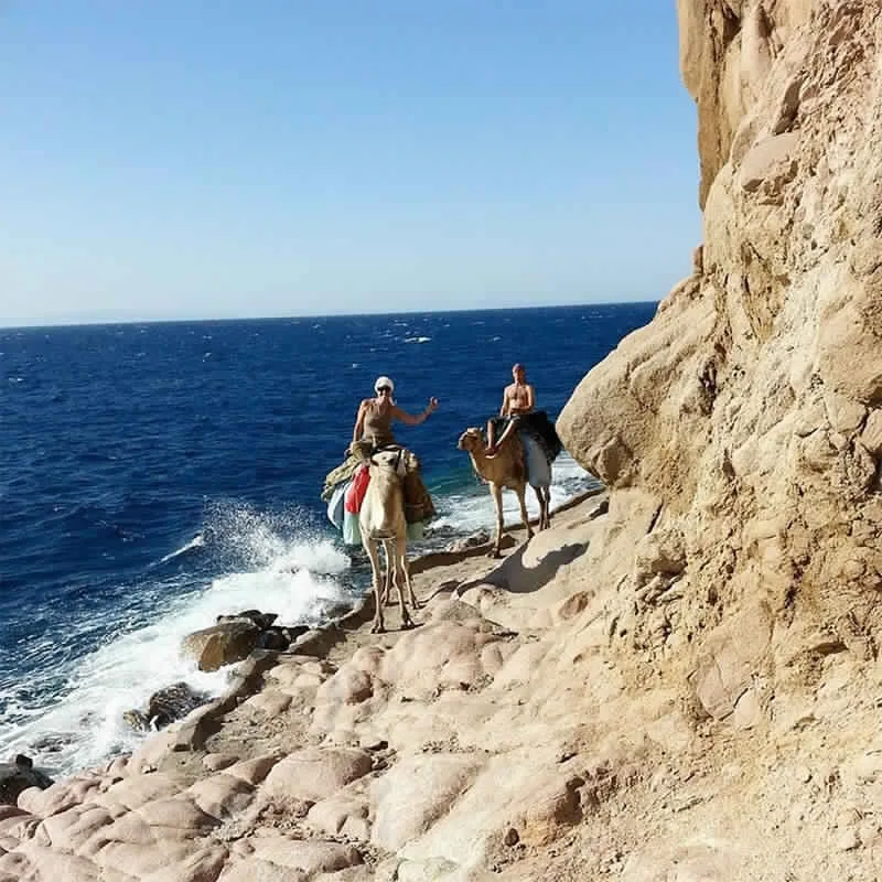 Ras Abu Galum boat trip and camel ride
