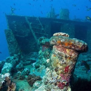 Uncharted Coral Gardens Dahab