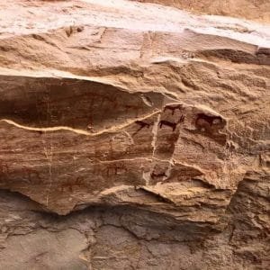 Cave Painting and Ancient War Scene Tour from Dahab