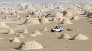 Trip To The White Desert