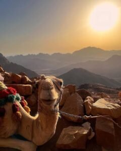 Mountain Sinai adventure from Dahab 2 Mountain Sinai adventure from Dahab