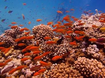 Adventure trips from Hurghada Egypt