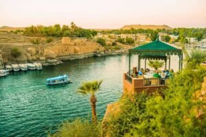 nile cruise river bird watching in Aswan: A Complete Egypt Birdwatching Guide 3 nile cruise river bird watching
