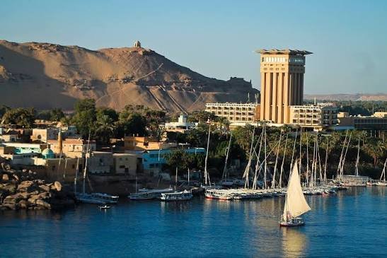 nile cruise river bird watching in Aswan: A Complete Egypt Birdwatching Guide 18 nile cruise river bird watching