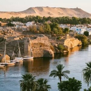 nile cruise river bird watching in Aswan: A Complete Egypt Birdwatching Guide 2 nile cruise river bird watching