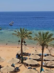 sharm el sheikh to giza pyramids by bus tour
